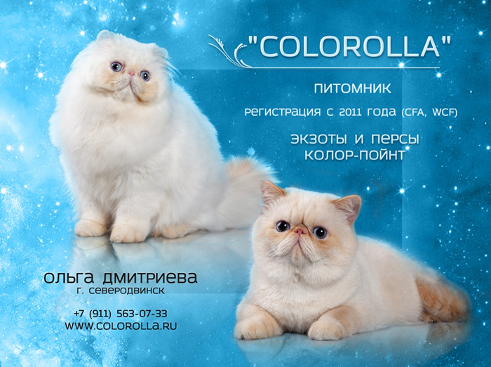 COLOROLLA