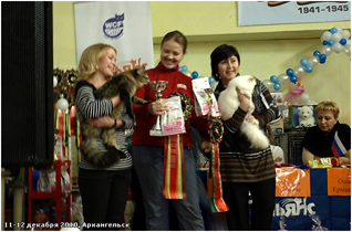 World Cat Show 2010 World Cat Show 2010