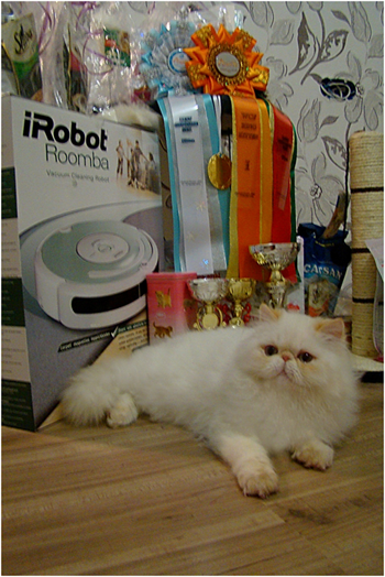 World Cat Show 2010 World Cat Show 2010