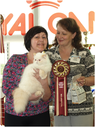 World Cat Show 2011 World Cat Show 2011