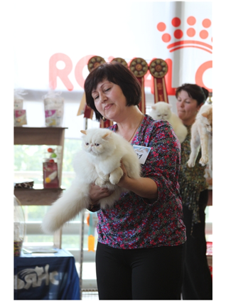 World Cat Show 2011 World Cat Show 2011