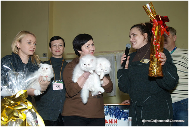 World Cat Show 2011 World Cat Show 2011