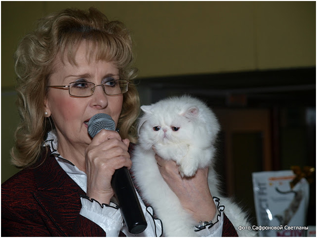 World Cat Show 2012