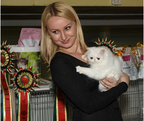 World Cat Show 2012 World Cat Show 2012