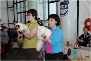 World Cat Show 2012 World Cat Show 2012