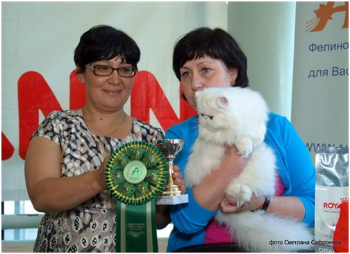 World Cat Show 2012 World Cat Show 2012
