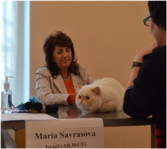 World Cat Show 2012 World Cat Show 2012