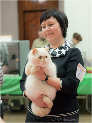 World Cat Show 2012 World Cat Show 2012