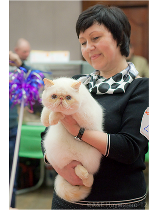 World Cat Show 2012 World Cat Show 2012