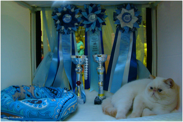 World Cat Show 2012 World Cat Show 2012