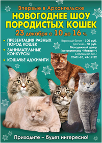 World Cat Show 2012 World Cat Show 2012