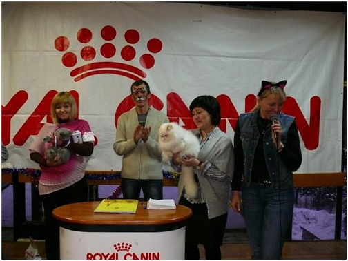 World Cat Show 2012