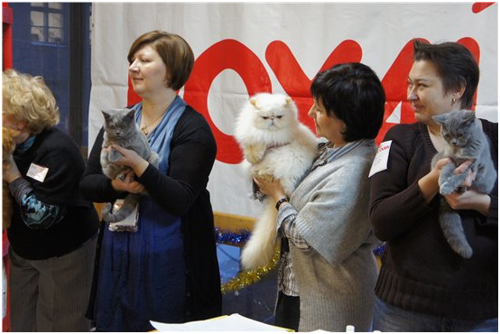 World Cat Show 2012