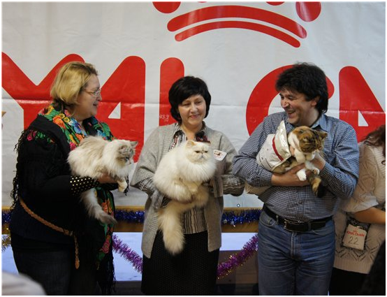 World Cat Show 2012