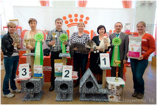 World Cat Show 2013