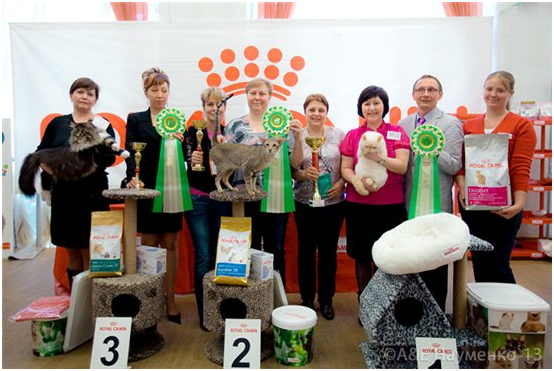 World Cat Show 2013