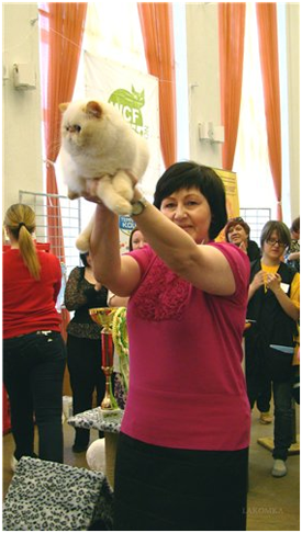 World Cat Show 2013 World Cat Show 2013