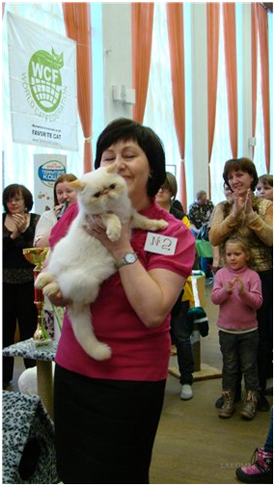 World Cat Show 2013 World Cat Show 2013