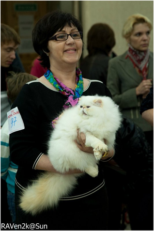 World Cat Show 2013