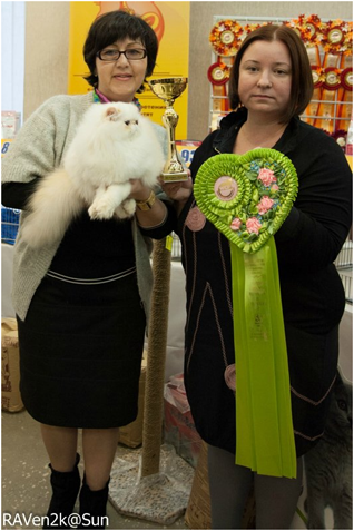 World Cat Show 2013