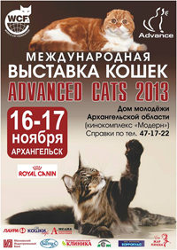 World Cat Show 2013 World Cat Show 2013