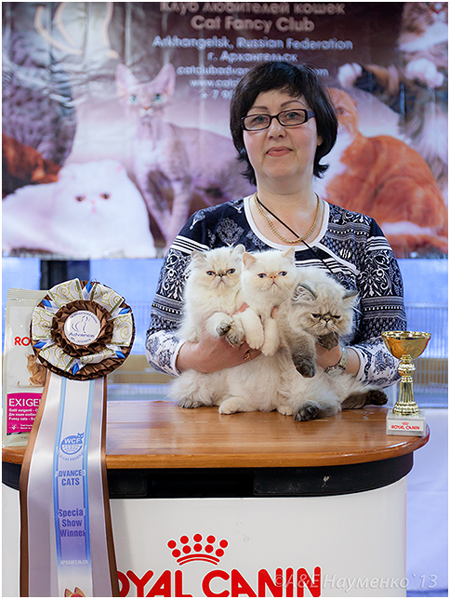 World Cat Show 2013