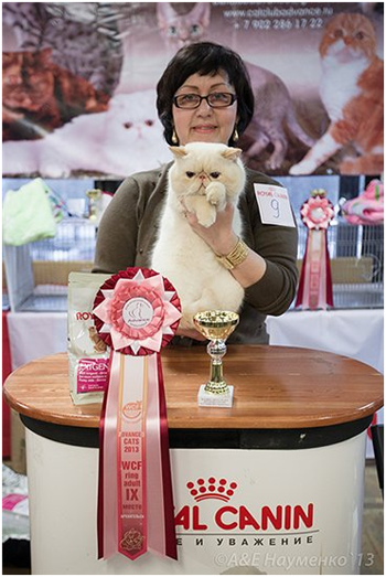 World Cat Show 2013