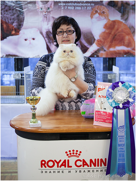 World Cat Show 2013 World Cat Show 2013