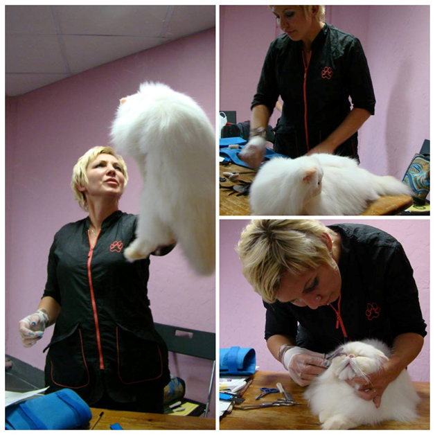 GROOMING SCHOOL Румянцевой