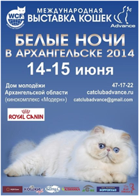 Белые ночи в Архангельске Белые ночи в Архангельске