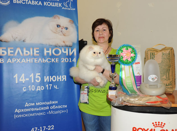 Белые ночи в Архангельске Белые ночи в Архангельске