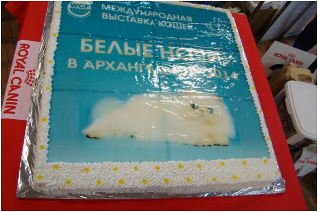 Белые ночи в Архангельске Белые ночи в Архангельске