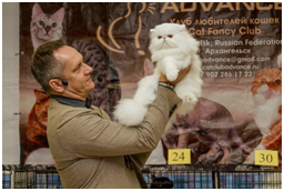ADVANCED CATS 2015 ADVANCED CATS 2015