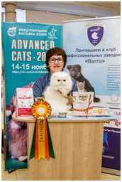 ADVANCED CATS 2015 ADVANCED CATS 2015